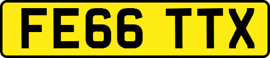 FE66TTX