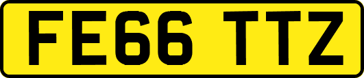 FE66TTZ