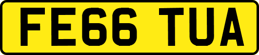 FE66TUA