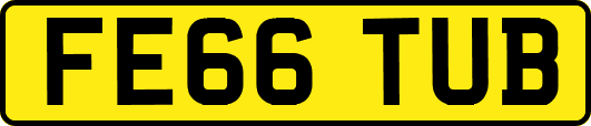 FE66TUB