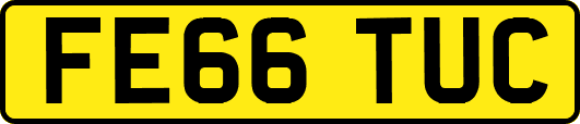 FE66TUC