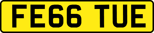 FE66TUE