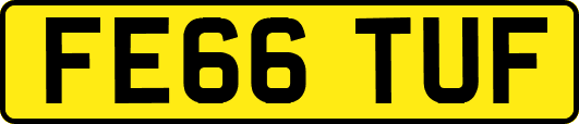 FE66TUF