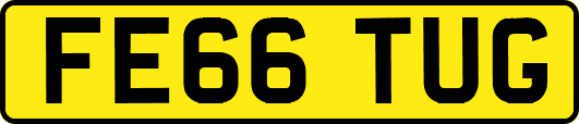 FE66TUG