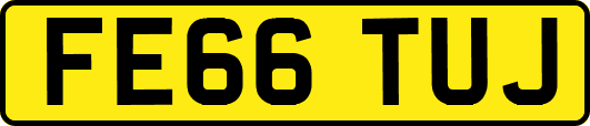 FE66TUJ