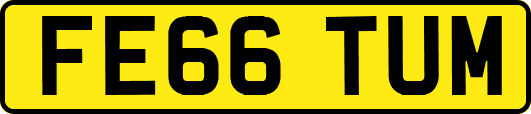 FE66TUM