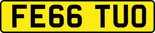 FE66TUO