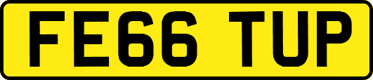 FE66TUP