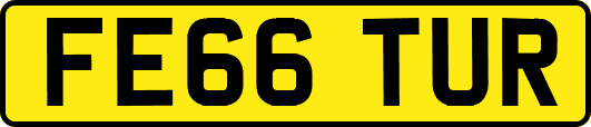 FE66TUR
