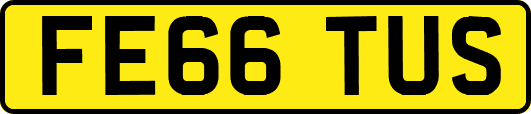 FE66TUS