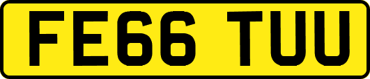 FE66TUU
