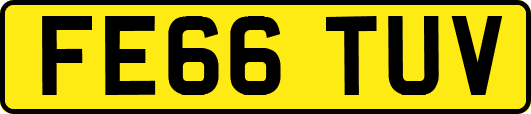 FE66TUV
