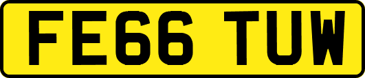 FE66TUW