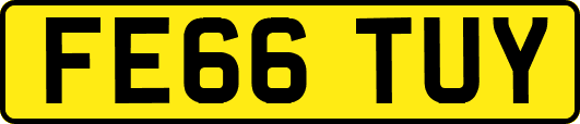 FE66TUY