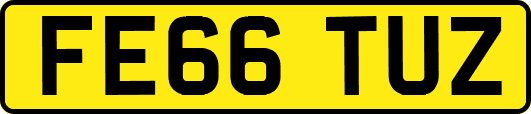 FE66TUZ