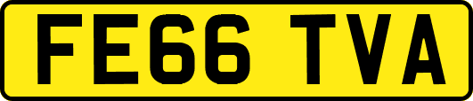 FE66TVA