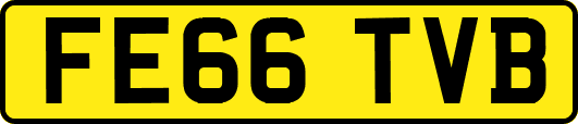 FE66TVB