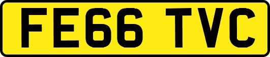 FE66TVC