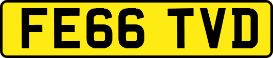 FE66TVD