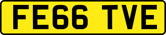 FE66TVE