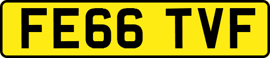 FE66TVF