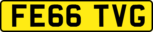 FE66TVG