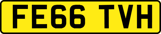 FE66TVH