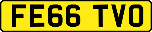 FE66TVO