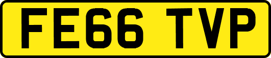FE66TVP