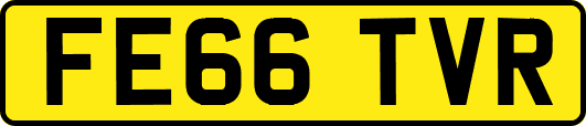 FE66TVR