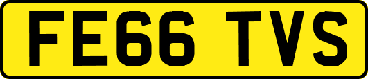 FE66TVS