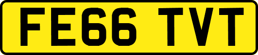 FE66TVT