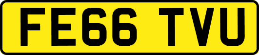 FE66TVU