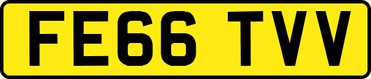 FE66TVV