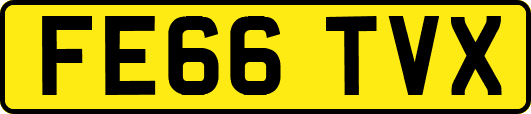 FE66TVX