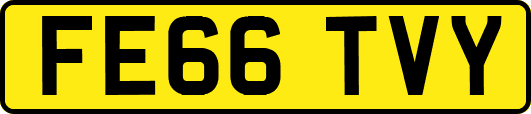 FE66TVY