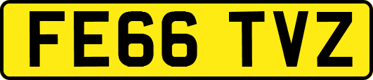 FE66TVZ