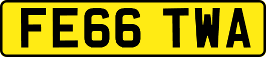 FE66TWA