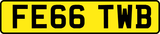 FE66TWB