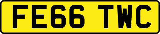 FE66TWC