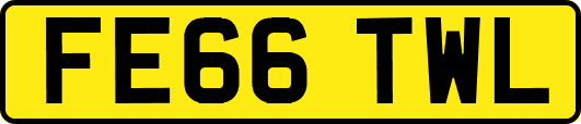 FE66TWL
