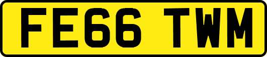 FE66TWM
