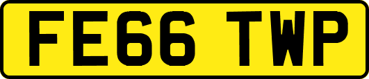 FE66TWP