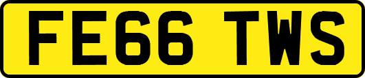 FE66TWS