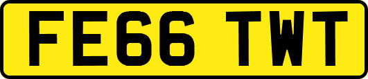 FE66TWT