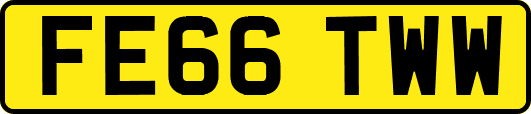 FE66TWW