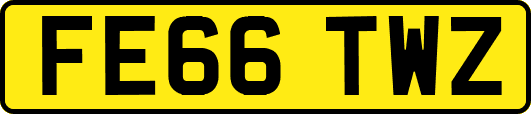 FE66TWZ