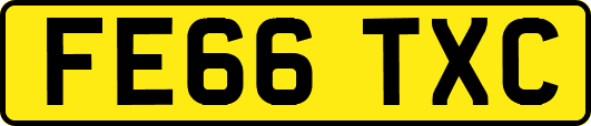 FE66TXC