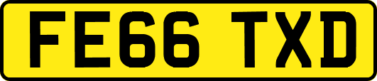 FE66TXD