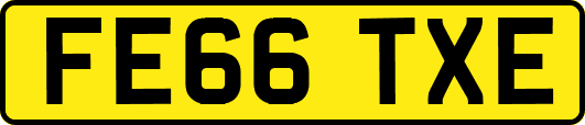 FE66TXE